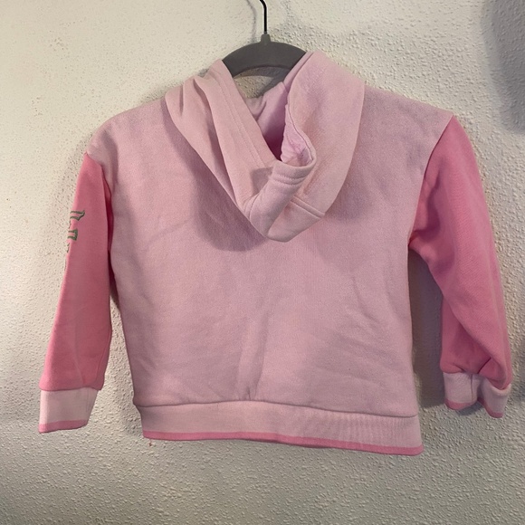 Pink Wicked Hoodie XS 4/5 - Picture 3 of 3